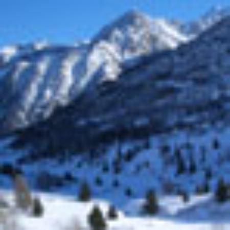 Hwapyeongdong Grandma Cold Buckwheat Noodles